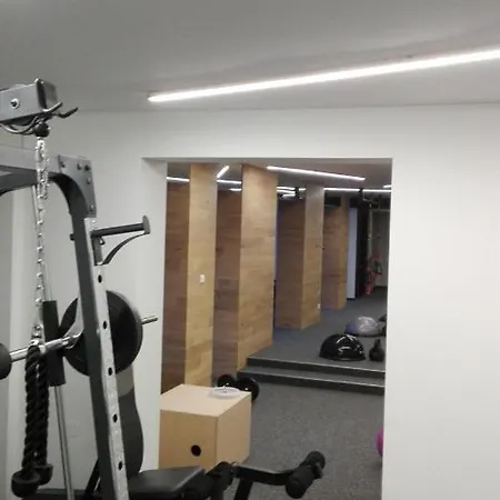 U Zelmanu Apartamento